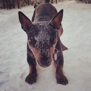 Meet your Posher, Chantel